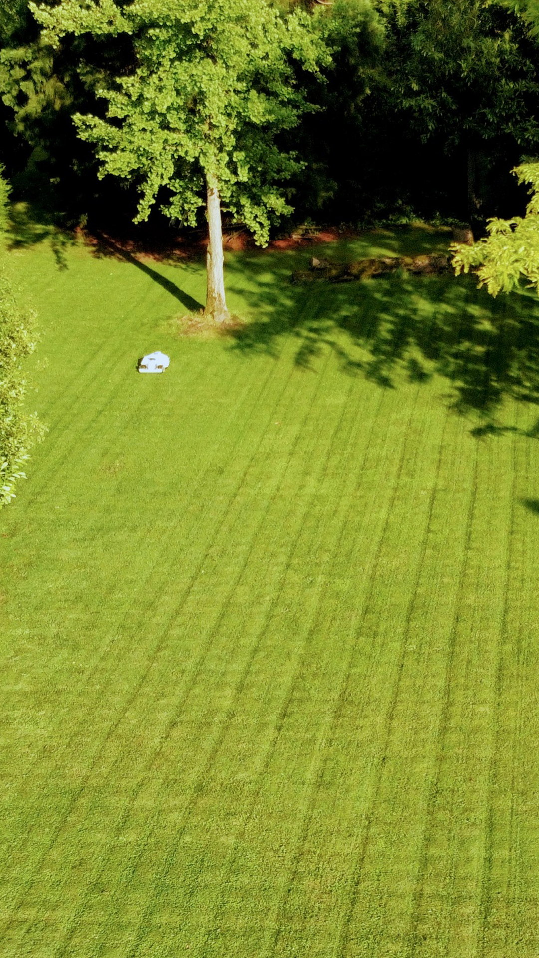 Luba Mini Robot Mowers Australia