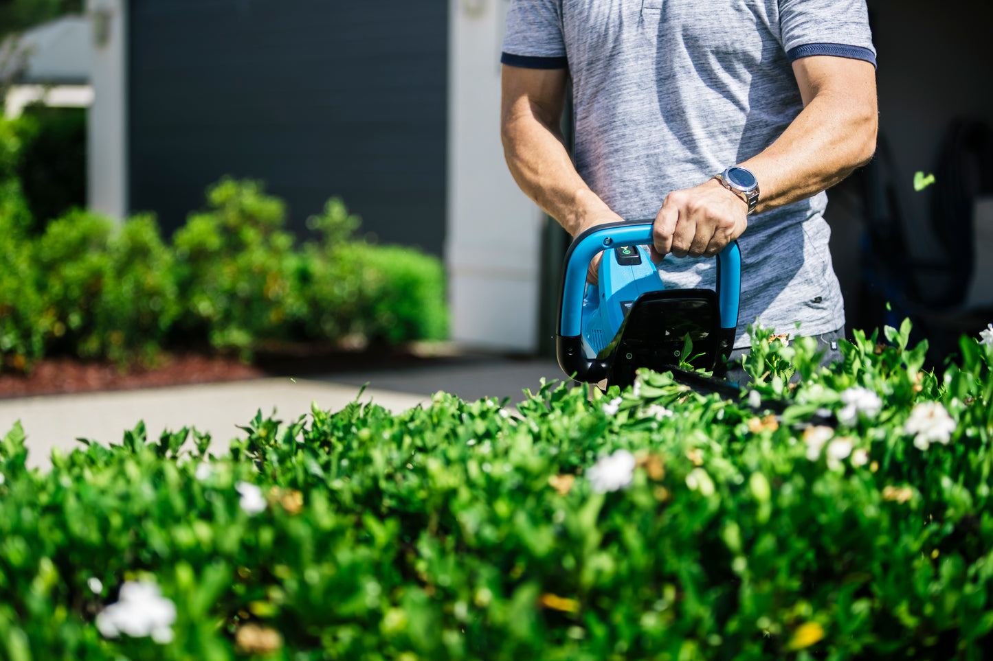 Bushranger® 36V9301 36V Battery Powered Hedge Trimmer with battery