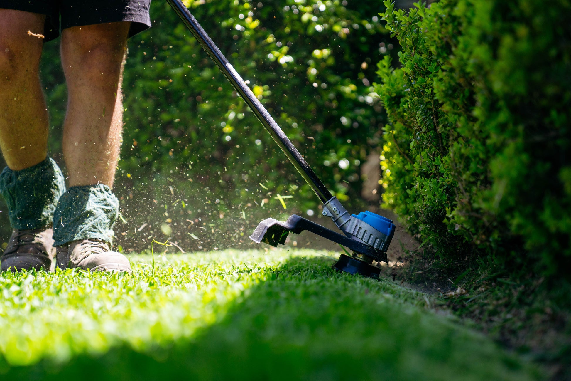 Bushranger® 36V9101 36V Battery Powered Line Trimmer in Action