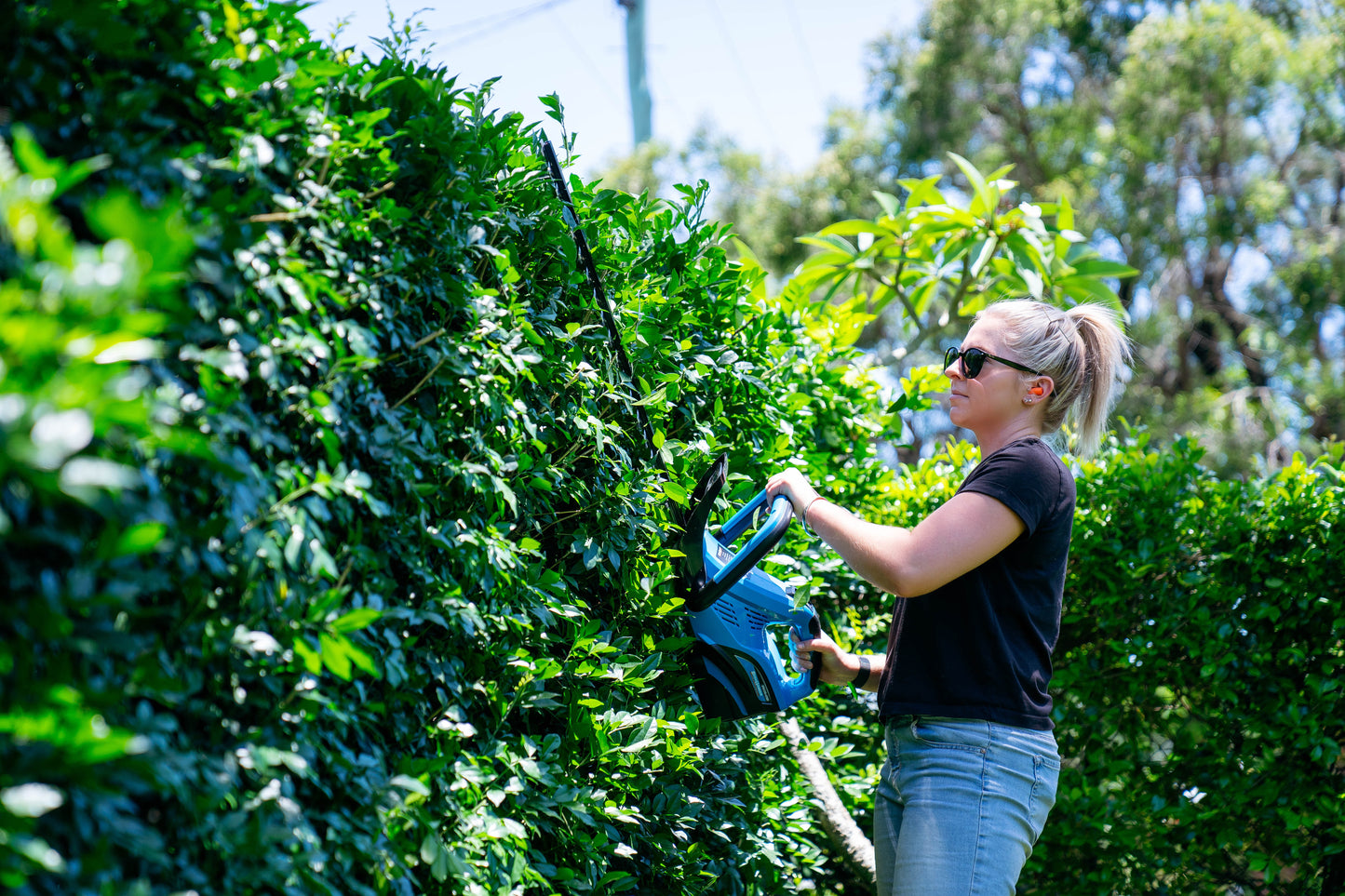 Bushranger® 36V9301 36V Battery Powered Hedge Trimmer with battery