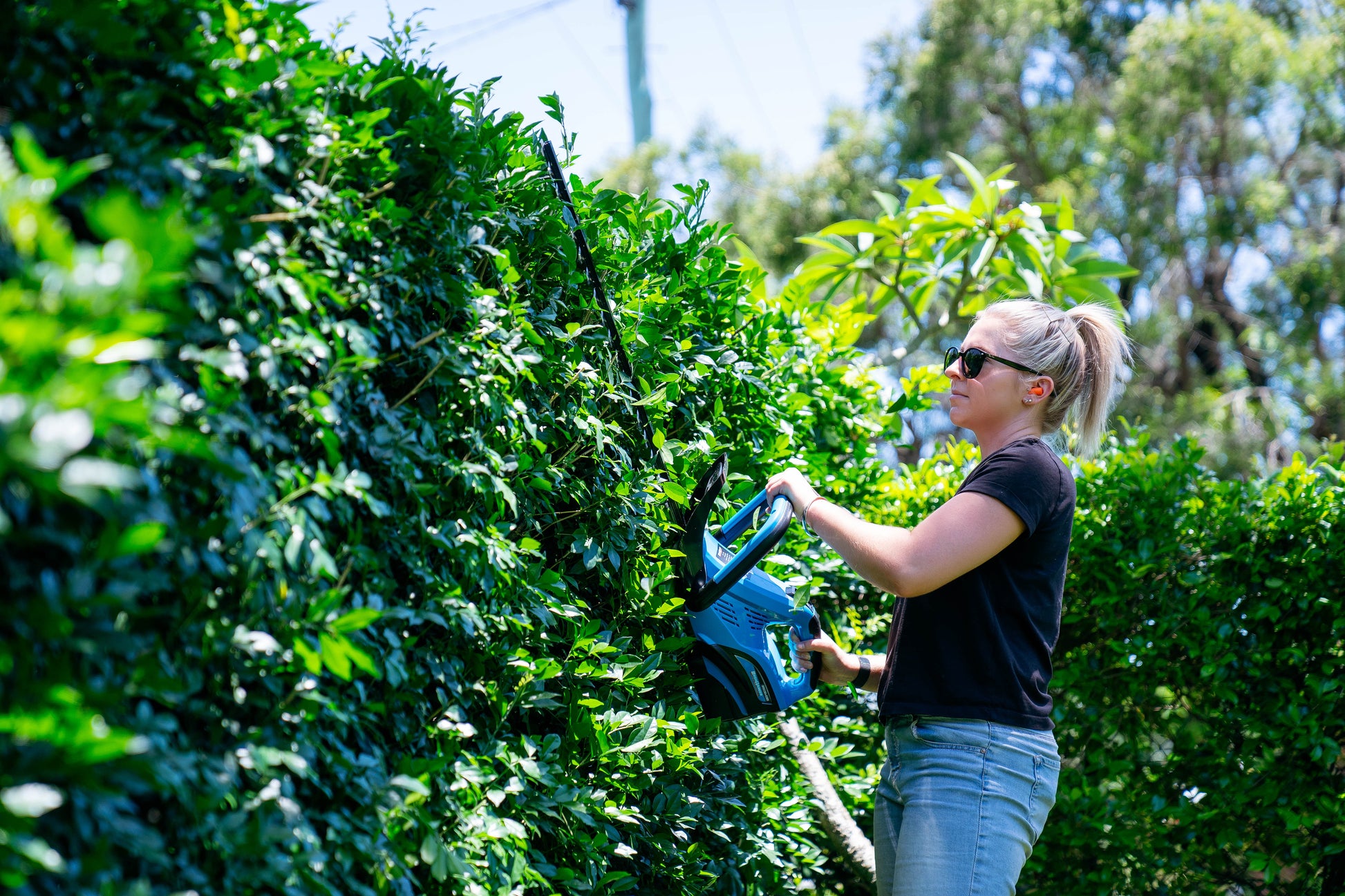 Bushranger® 36V9301 36V Battery Powered Hedge Trimmer with battery