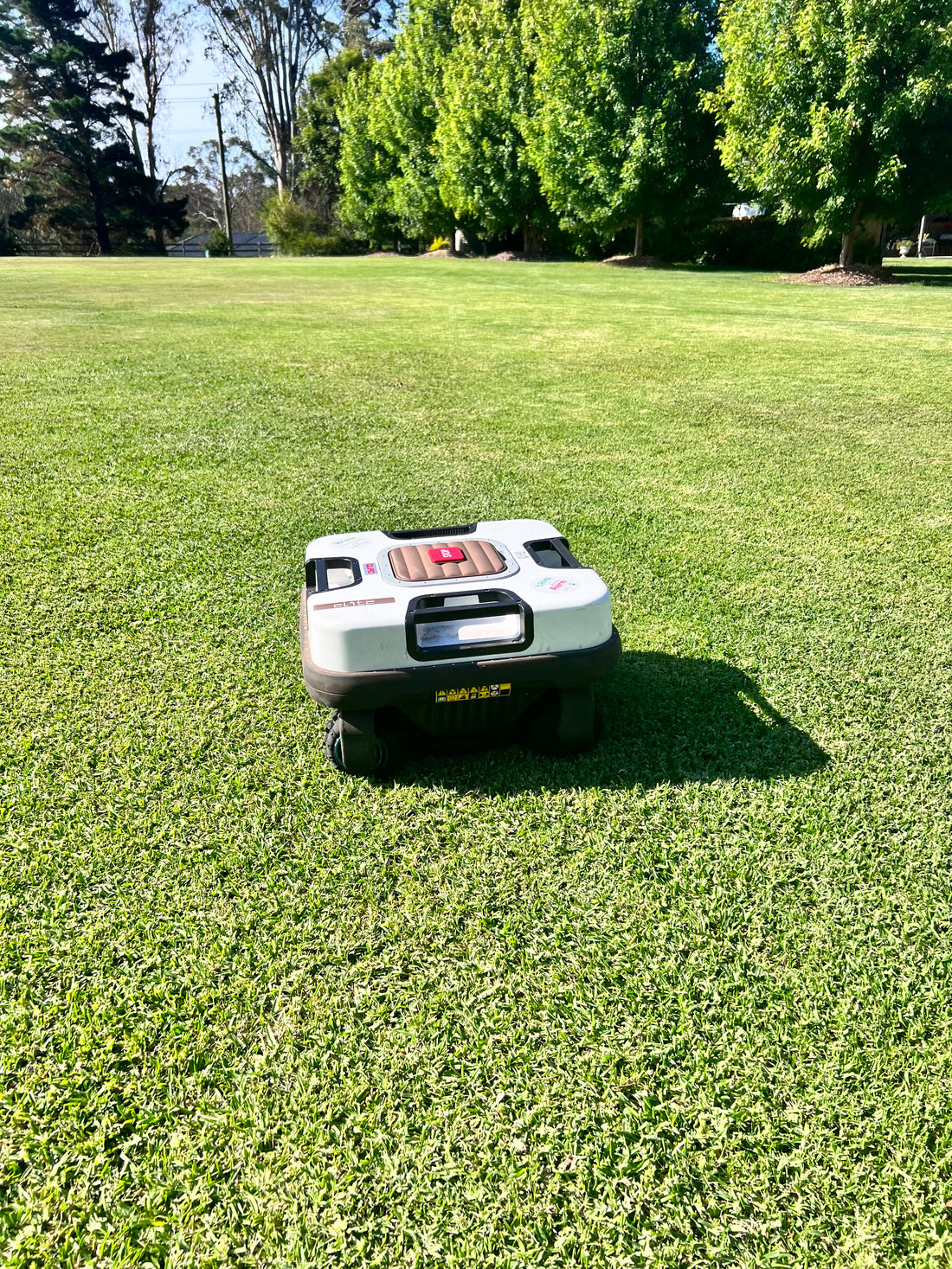 Robot Lawn mower beautiful lawn
