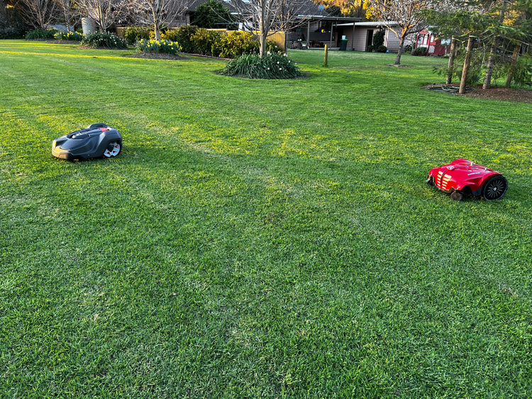 Why You Should Invest in a Robotic Mower for the Holidays Robot Mowers Australia