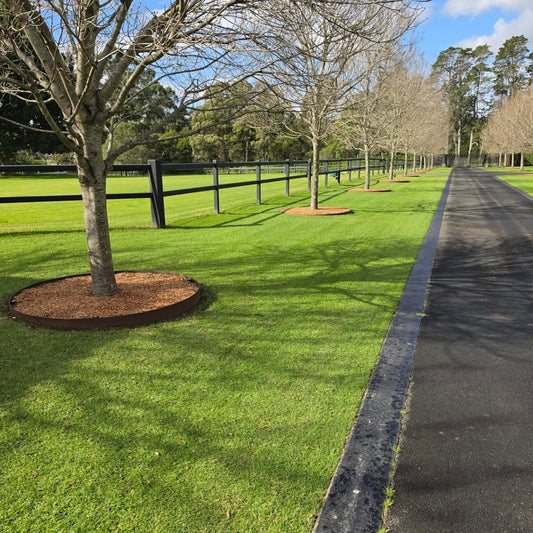 Beautiful lawn mowed by a robot mower. 