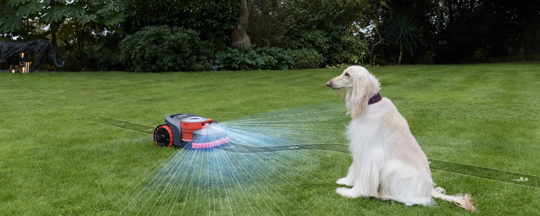 Residential robot lawn mower 