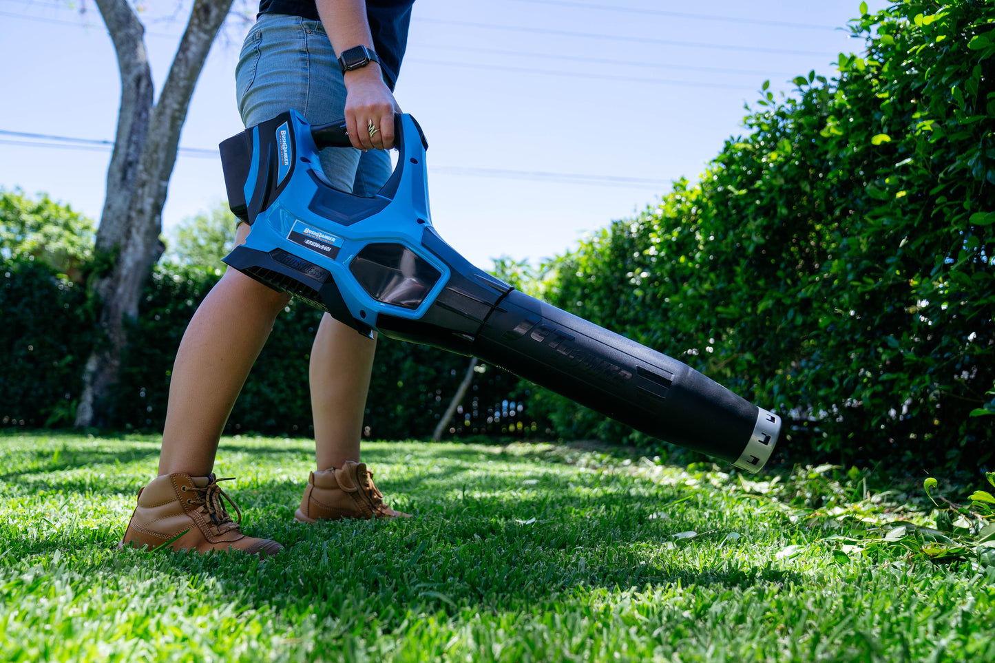 Bushranger® 36V9401 36V Battery Powered Blower (with battery)