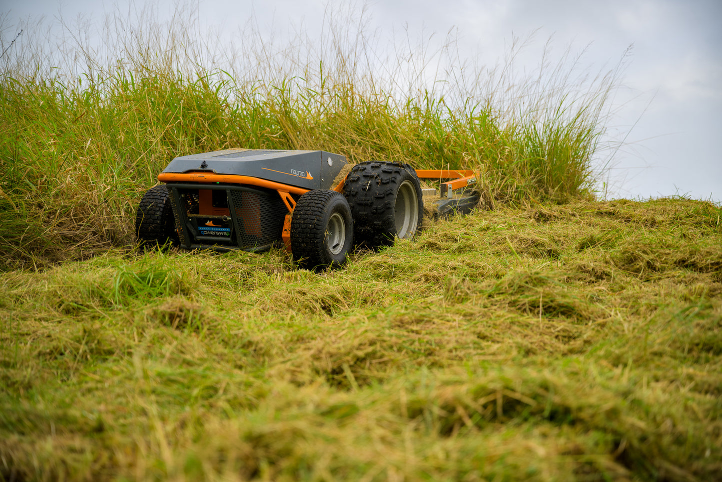 Raymo 48 craft rough cut mower