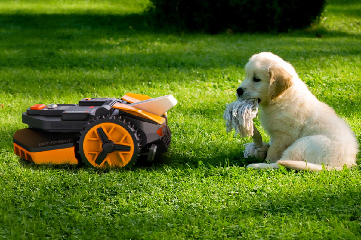 Worx robotic hot sale lawn mowers