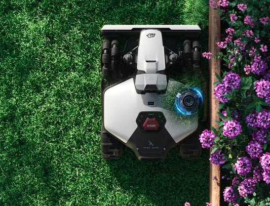 Edge cut motor Luba mini 2