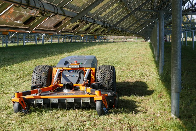 Low height mowing under solar panels